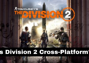 Is Division 2 Cross-Platform