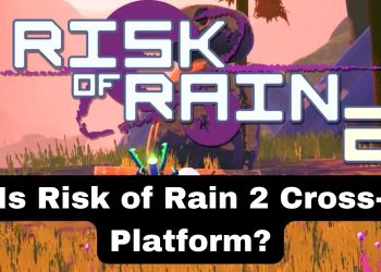 Is Risk of Rain 2 Cross-Platform