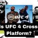 Is UFC 4 Cross-Platform