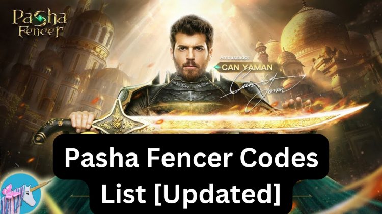 Pasha Fencer Codes List [Updated]