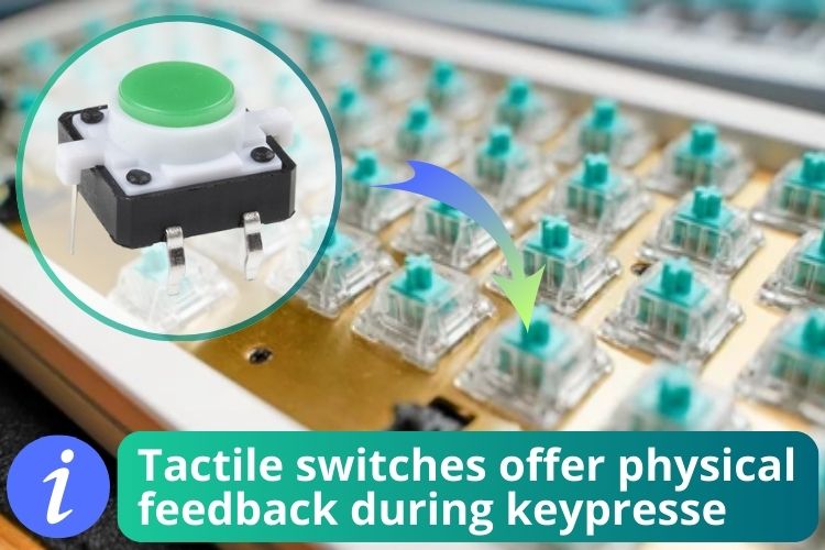 Tactile switches
